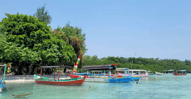 "Теряем все": жители острова подозревают мультимиллионеров в исчезновении их домов (видео)