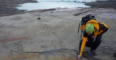 Возрастом 139 млн лет. В Южной Америке нашли окаменелость беременного ихтиозавра (фото)