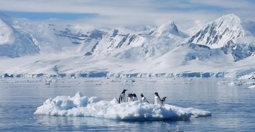 Під льодами Антарктиди похований стародавній гігант: на нього вказали загадкові рожеві камені (фото)