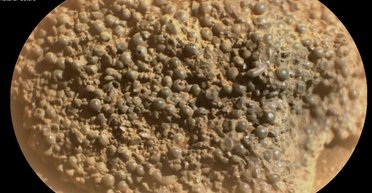 Незрозумілі темно-сірі сфери знайшли на Марсі: вони ховалися під каменем (фото)