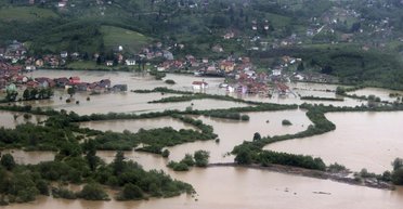 Сильный ливень в Тернопольской области: улицы превратились в реки, погибла птица (фото, видео)