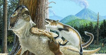 Бійка віком 125 млн років: знайдено скам'янілість ссавця, який вчепився в динозавра (фото)