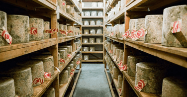 "Просто жахливо": шахраї вкрали 22 тонни сиру чеддер ручної роботи