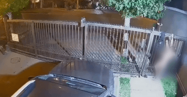 Грабительницу поймали со спущенными штанами после того, как она застряла на заборе (фото)