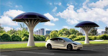 Солнечные панели стоит выбросить: фантастические деревья выдают 6000 кВт⋅ч в год (видео)