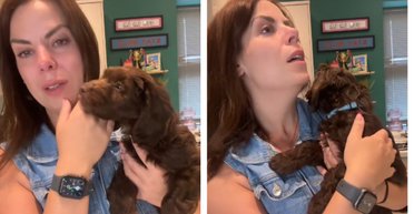 Сложное решение: женщина со слезами объяснила, почему отдала щенка на следующий день (видео)