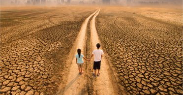 Замість вовків – шакали: як потепління розгорне в Україні нову війну за життєві ресурси