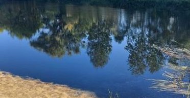 Загрязнение Сейма: качество воды в реке постепенно улучшается, — центр контроля Минздрава