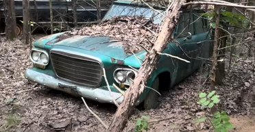 В лесу обнаружили заброшенную свалку с редкими ретроавто (видео)
