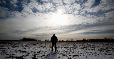 До 10 тысяч га "в одни руки": в Украине стартовал второй этап открытия рынка земли