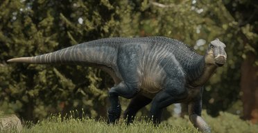 Те, без чого ми не можемо уявити Землю, з'явилося всього 56 млн років тому