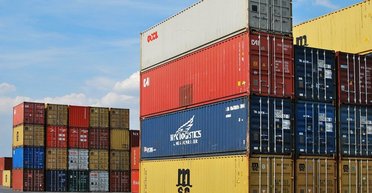 В транспортной компании рабочие открыли контейнер и наткнулись на живую находку: она их шокировала (фото)