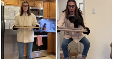 Женщина пыталась накормить неугомонных котят, но все пошло не по плану (видео)