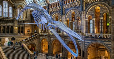 Ученые хотят воплотить в реальность фильм "Ночь в музее"