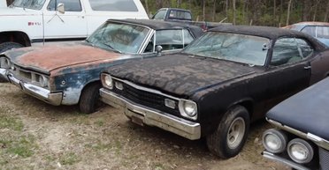 Раритеты под открытым небом: обнаружена большая секретная коллекция ретроавто (видео)