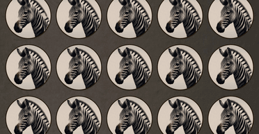 Головоломка із зебрами ставить у глухий кут користувачів соцмереж: чи зможете ви знайти відмінності