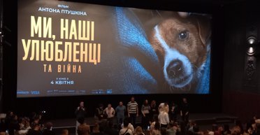 "Мы, наши любимцы и война". Почему премьера фильма Птушкина о котиках и львах прошла триумфально