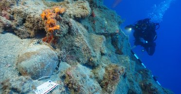 Археологи нашли древнюю гавань и затонувшие корабли: место хранило 4000 лет истории (фото)