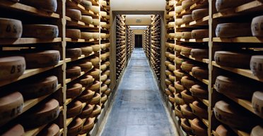 Мистический сыр. Как буковинец стал лучшим сыроваром Европы