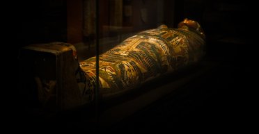 Мумии, супербактерии и удар по голоду. Главные новости науки и технологий этой недели