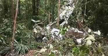 Искали пять дней: в Бразилии добрались до самолета, который упал посреди джунглей (видео)