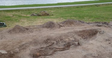 Похоронили не с человеком: в Норвегии археологи раскопали неординарную могилу викингов (фото)