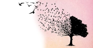 Автопортрет нации. Как в Украине в 2020 году пройдет перепись населения и во сколько это обойдется стране