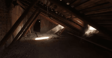 Чоловік змінив замки на своїй ділянці після незвичайної знахідки на горищі (фото)