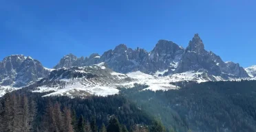 Обладают памятью предков: ученые раскрыли тайну лесов (фото)