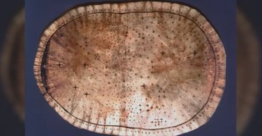 Аборигены из Северной Америки могли создать звездную карту еще до первого контакта