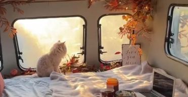 Всього за 26 тисяч грн: жінка зробила з гнилого причепа затишний дім на колесах (фото)