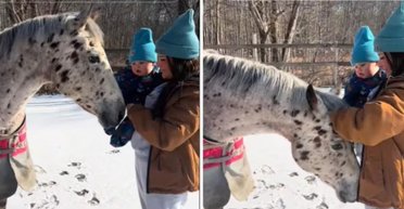 Інтуїція не підвела: кінь вказав на таємницю, про яку жінка не підозрювала