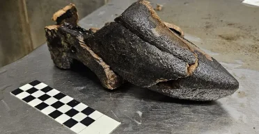 Капсула времени в неожиданном месте: в выгребной яме XV века ученые нашли кое-что необычное (фото)