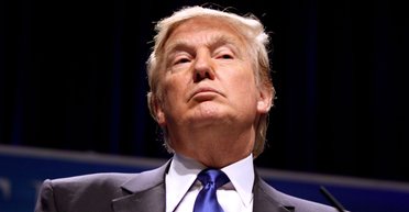 Вот такой парень. Что общего у Дональда Трампа с украинскими политиками