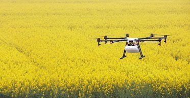 Фото в подтверждение. Что даст Украине инвентаризация сельхозугодий и как это сделать