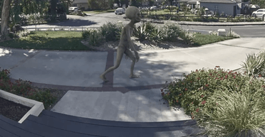 Незвичайний конкурс: відеозапис із прибульцем може принести людям 1 млн доларів (фото)