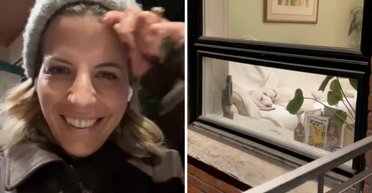 Собаці не дозволяють спати на дивані: мережу підкорило те, що несподівано викрили власники (фото)