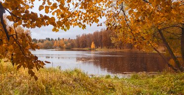 Україну накриють дощі та грози: синоптики попереджають про різку зміну погоди