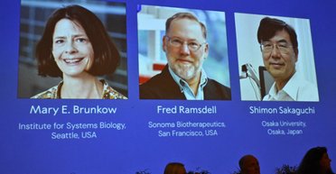 Нобелевская премия по медицине 2025: ученые открыли, как иммунная система контролирует себя