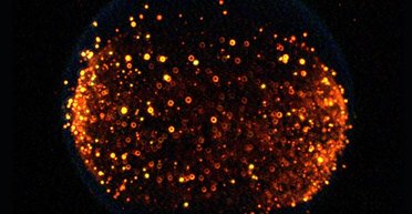 Язики полум'я припиняють існувати: вчені показали, що відбувається з вогнем у космосі (відео)