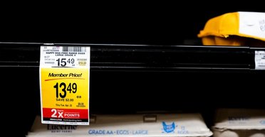 Масштабная эпидемия птичьего гриппа вызвала яичный кризис в США (инфографика)