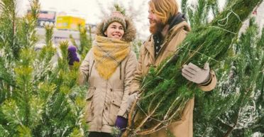 Родині довелось викинути ялинку з дому, коли вони побачили стовбур дерева (фото)