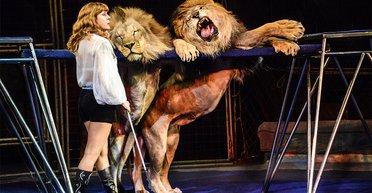 Порвать цепи. Как украинские цирки готовятся к запрету выступлений с животными