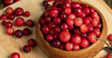 Людей испугало то, как на самом деле выращивают клюкву: причем здесь толпы пауков