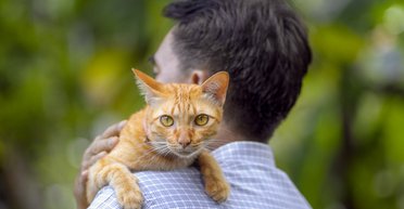 Чоловік шукає, кому віддати свої квартиру і гроші: але є одна умова