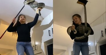Мешканці були налякані: жінка дістала двох величезних пітонів зі стелі їхнього будинку (відео)