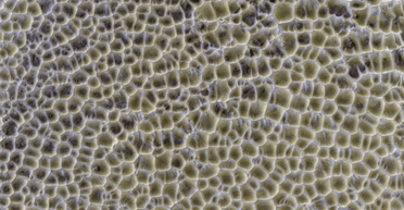 Необычные многоугольники. Новое фото Марса может изменить представления о прошлом планеты