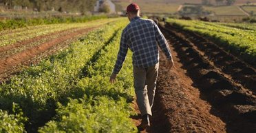 Документ понадобится каждому: что должны сделать все владельцы паев в 2024 году