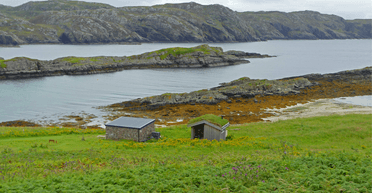 Мрія одинаків: на віддалений острів шукають працівника із зарплатою в 31 тисячу доларів