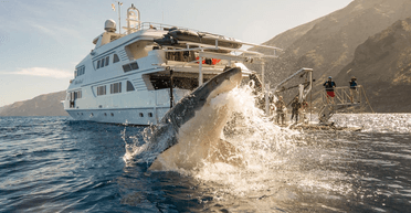 "Там, де знімали "Щелепи": двоє серфінгістів вступили в сутичку з великою білою акулою